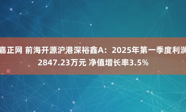 嘉正网 前海开源沪港深裕鑫A：2025年第一季度利润2847.23万元 净值增长率3.5%
