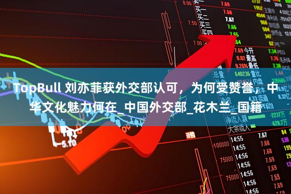 TopBull 刘亦菲获外交部认可，为何受赞誉，中华文化魅力何在_中国外交部_花木兰_国籍