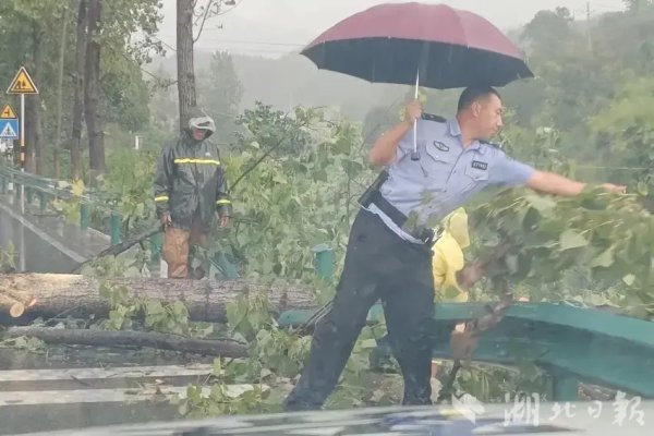 好牛 罗田：风雨中坚守！恶劣天气民警全力清障保平安
