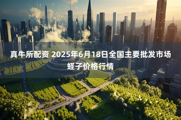 真牛所配资 2025年6月18日全国主要批发市场蛏子价格行情